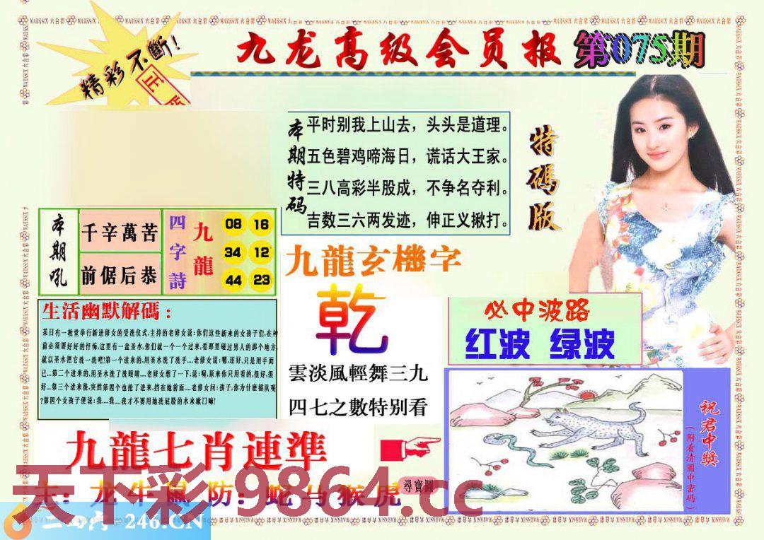 ：九龙高级会员报